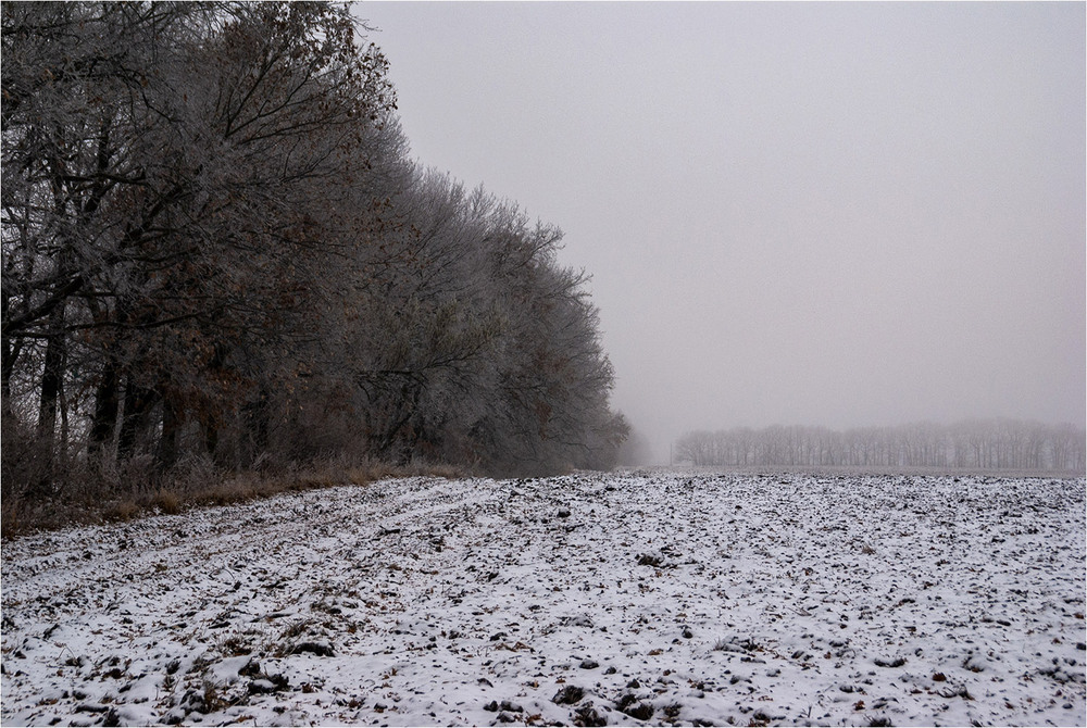 Фотографія Начало зимы / EAS / photographers.ua