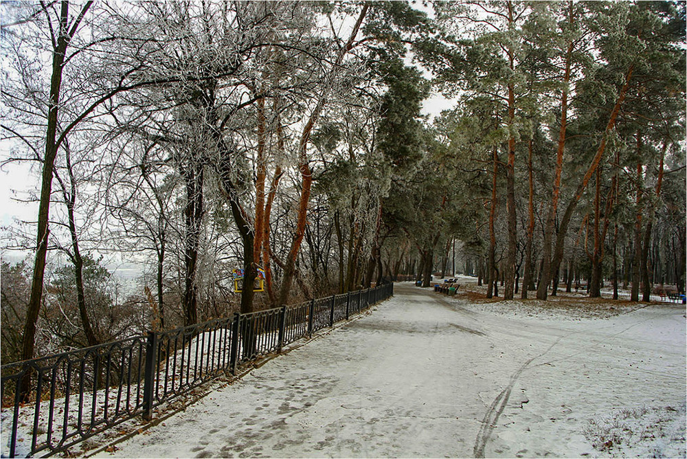 Фотографія В зимнем парке / EAS / photographers.ua