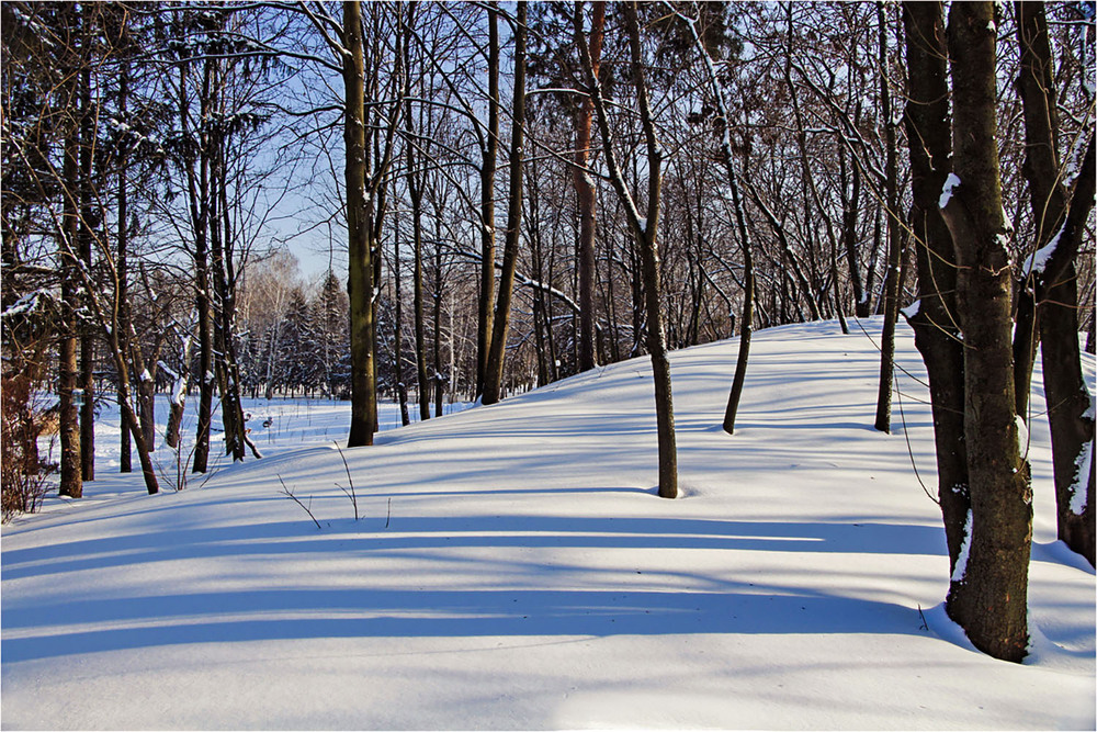 Фотографія Зимовий парк / EAS / photographers.ua