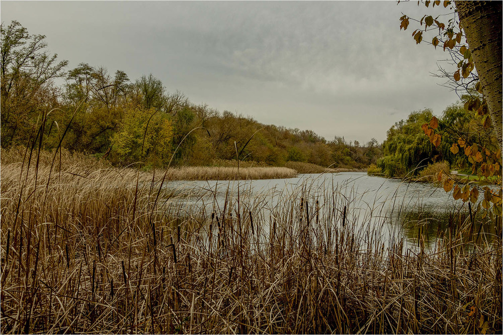 Фотографія Октябрь на реке Тясмин / EAS / photographers.ua