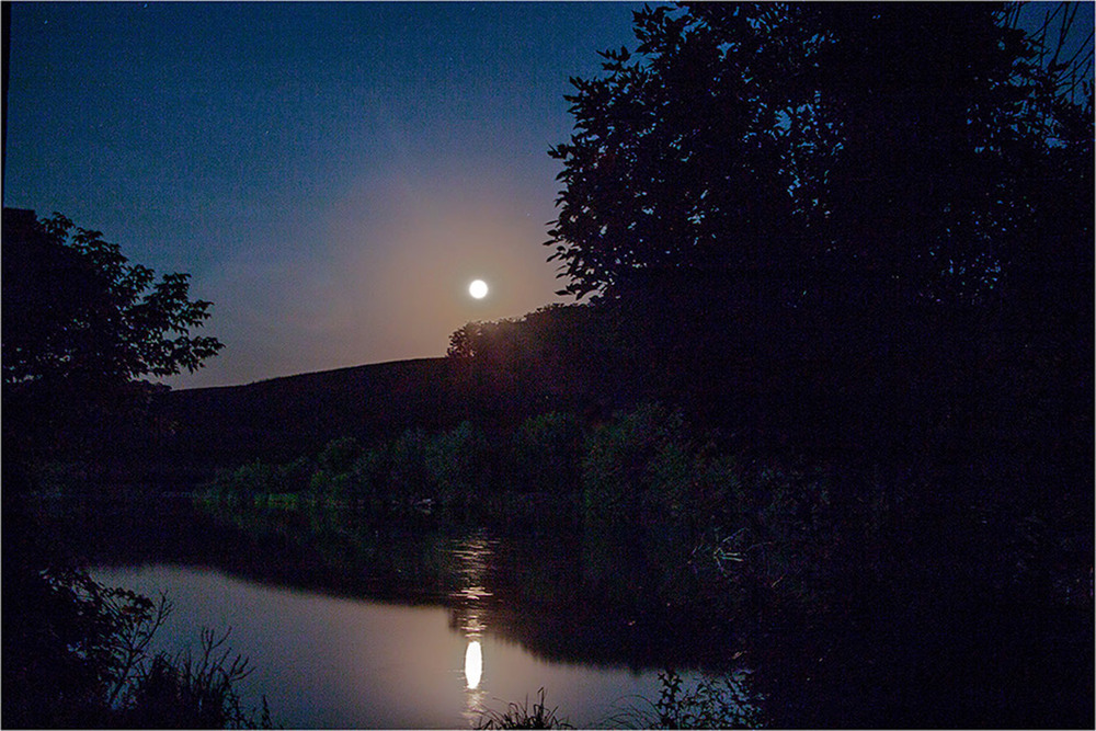 Фотографія Ночью лунною ... / EAS / photographers.ua