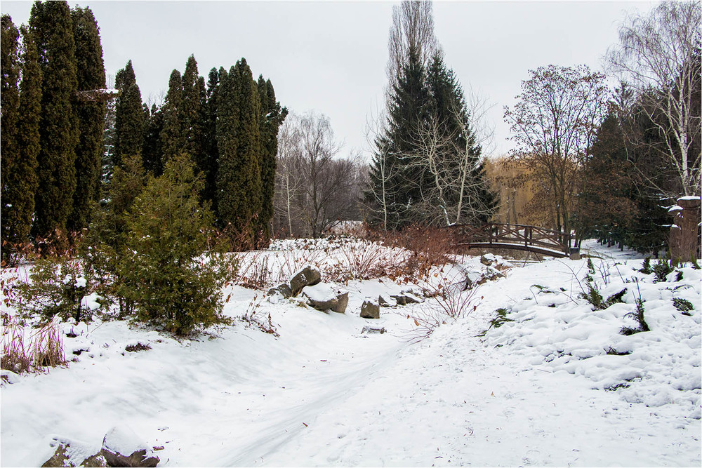 Фотографія Зимовий парк / EAS / photographers.ua