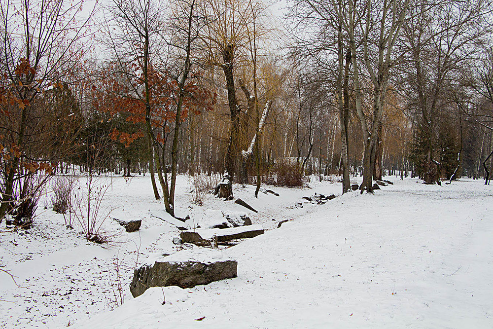 Фотографія Зима пришла в парк / EAS / photographers.ua