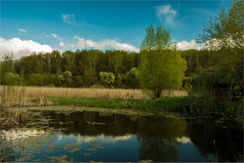 Фотографія малая речка Лаврусиха / Евгений Скрынник / photographers.ua