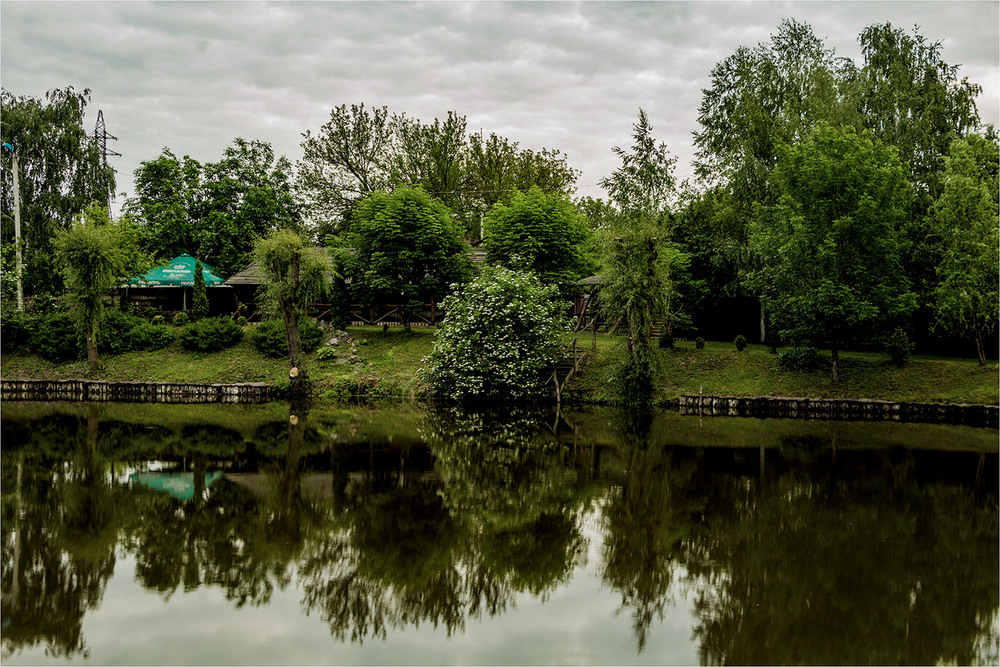 Фотографія Біля ставу калина / Евгений Скрынник / photographers.ua