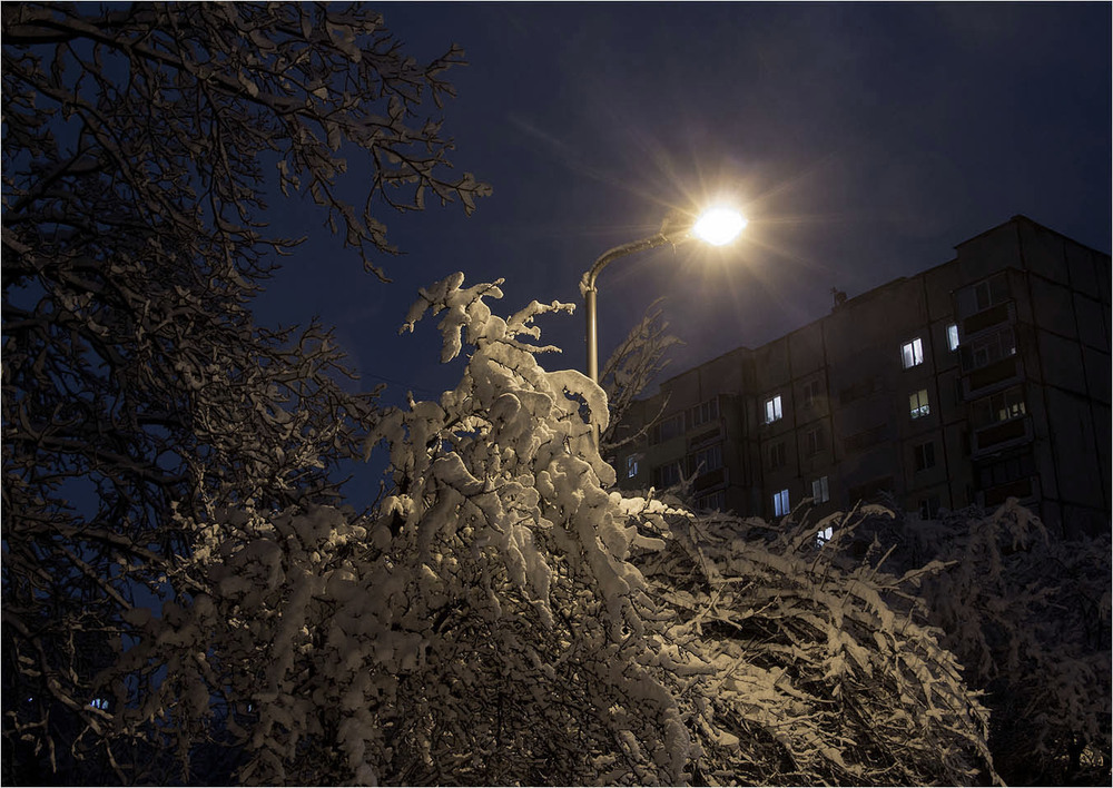 Фотографія Это зима / EAS / photographers.ua