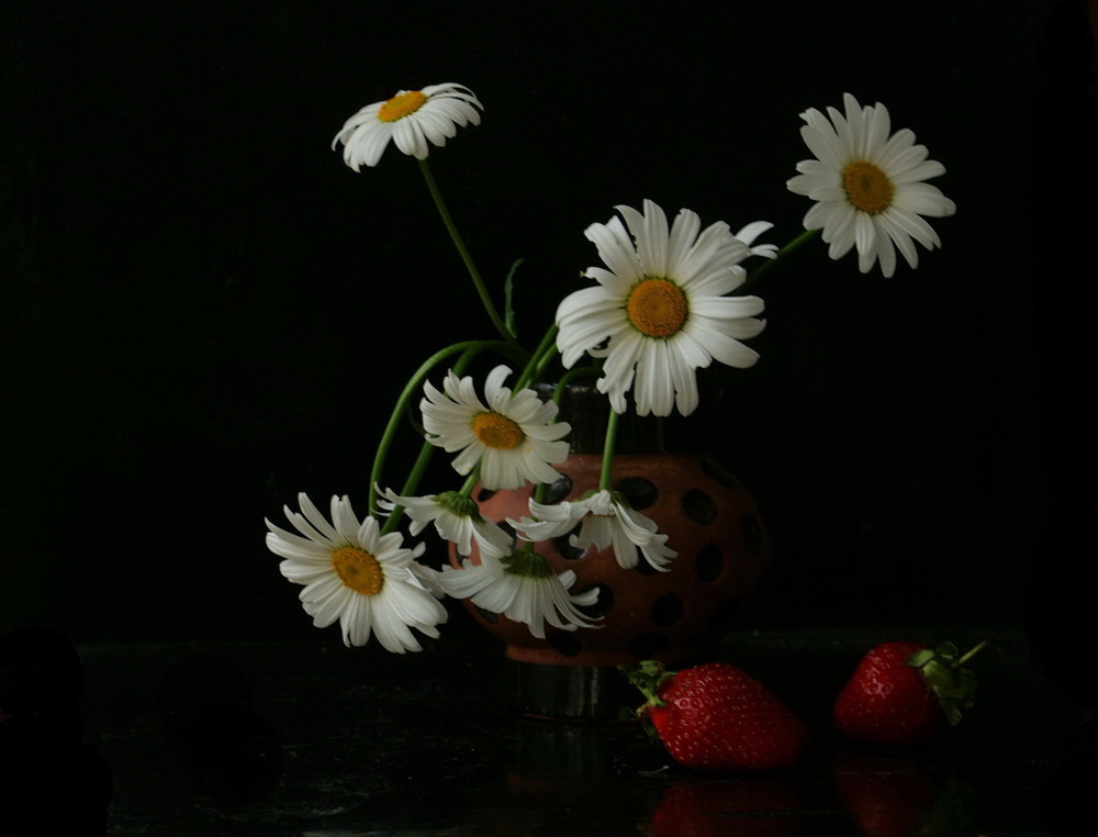 Фотографія Етюд з ромашками / Lyudmila Dhzur / photographers.ua