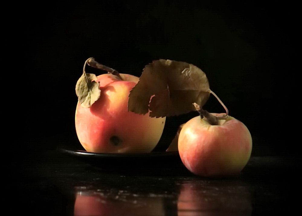 Фотографія Такі смачні яблучка / Lyudmila Dhzur / photographers.ua