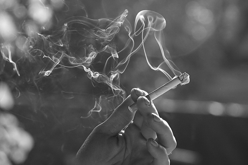 Фотографія Дим сигарет з ментолом / Lyudmila Dhzur / photographers.ua