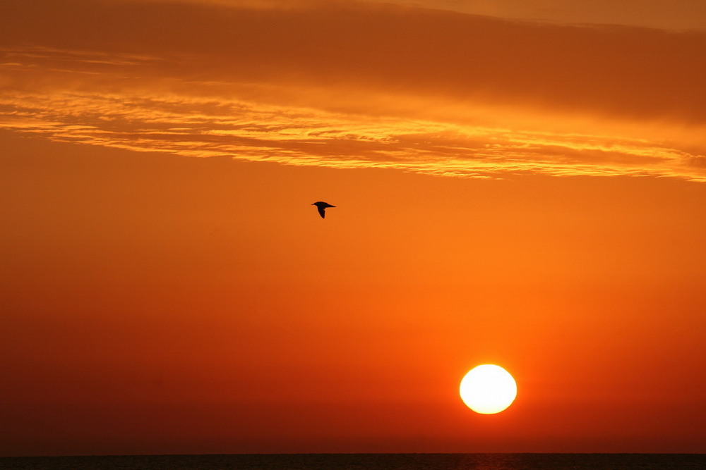 Фотографія Вище сонця. Світанок на Азовському морі. / Lyudmila Dhzur / photographers.ua