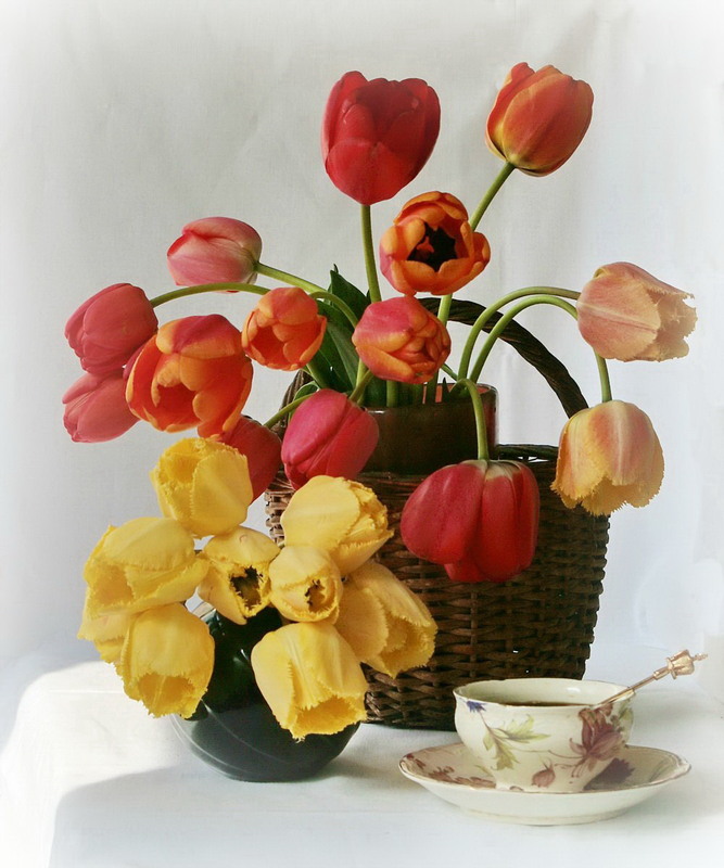 Фотографія Пора тюльпанів / Lyudmila Dhzur / photographers.ua