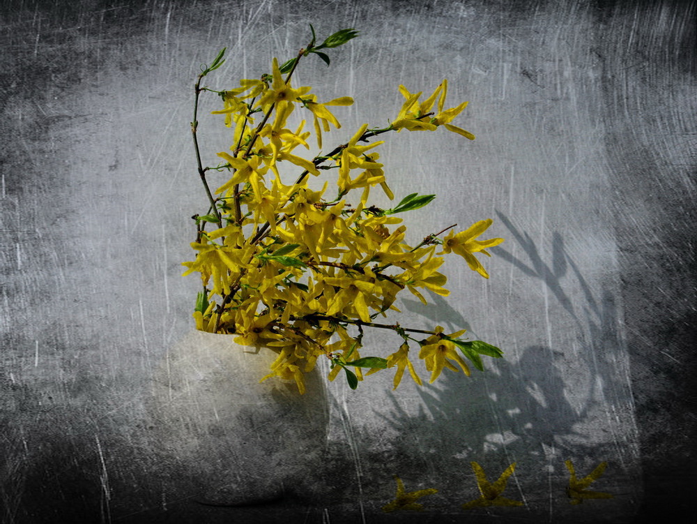 Фотографія Війна... Весна... Життя триває... / Lyudmila Dhzur / photographers.ua