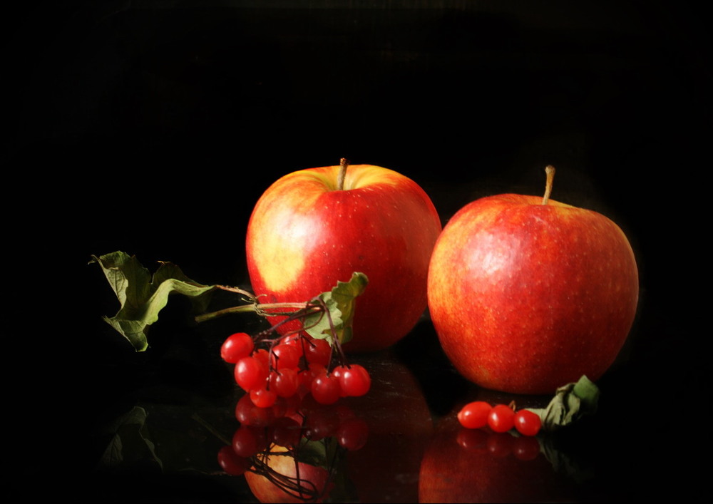 Фотографія Про червоні яблучка / Lyudmila Dhzur / photographers.ua