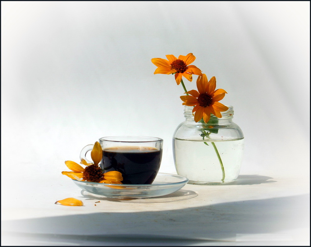 Фотографія Недільний ранок і традиційна кава. / Lyudmila Dhzur / photographers.ua