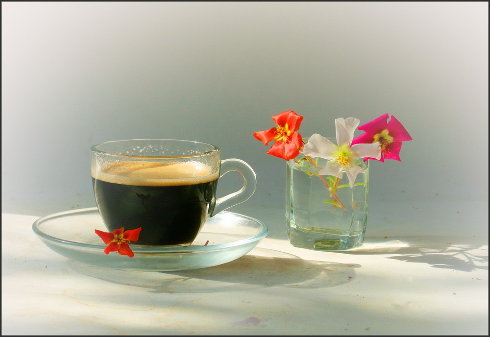 Фотографія Хай ранок буде добрим, а кава смачною! / Lyudmila Dhzur / photographers.ua