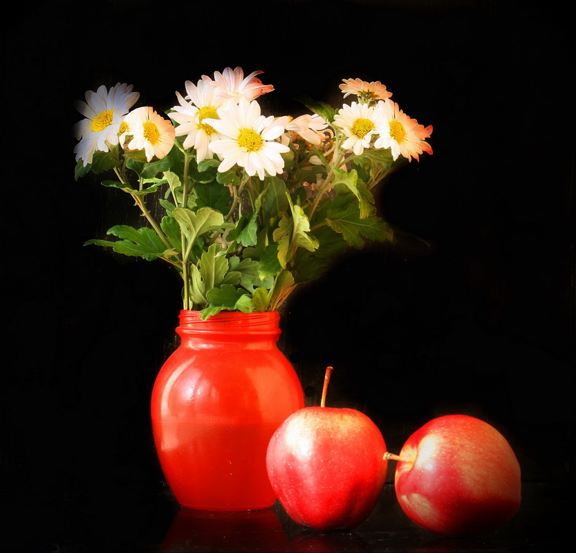 Фотографія З червоними яблучками / Lyudmila Dhzur / photographers.ua