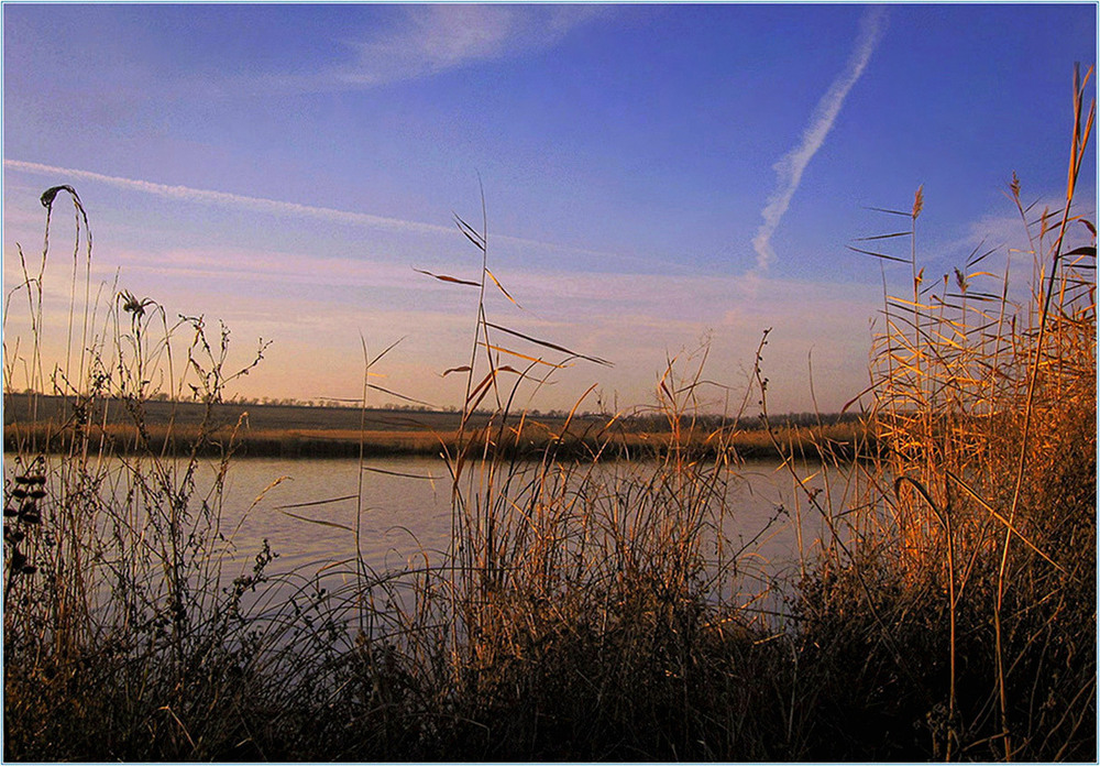 Фотографія Теплий вечір грудня. / Игорь Бабак / photographers.ua