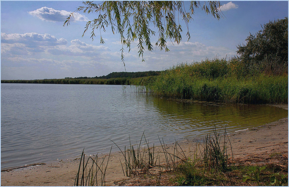 Фотографія Спекотне літо. / Игорь Бабак / photographers.ua