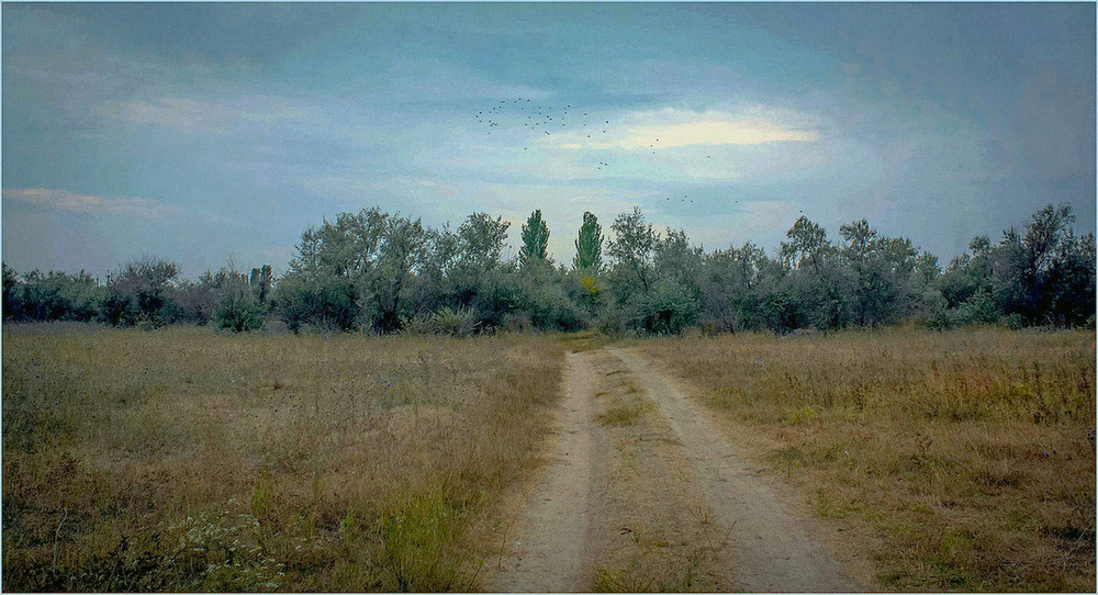 Фотографія Степові простори Азова. / Игорь Бабак / photographers.ua