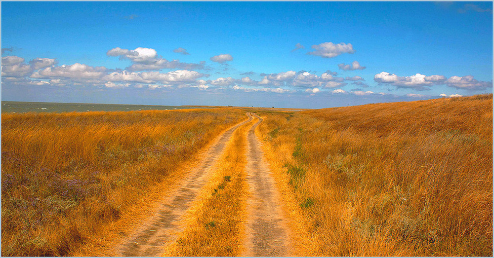 Фотографія Спекотне літо серпня.. / Игорь Бабак / photographers.ua