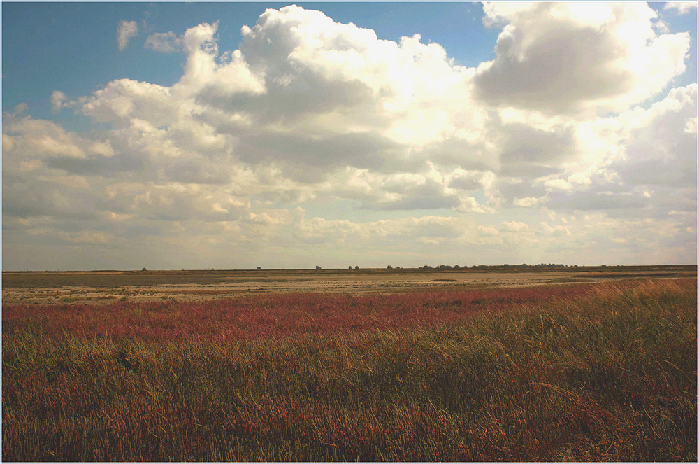 Фотографія Краса степових просторів. / Игорь Бабак / photographers.ua