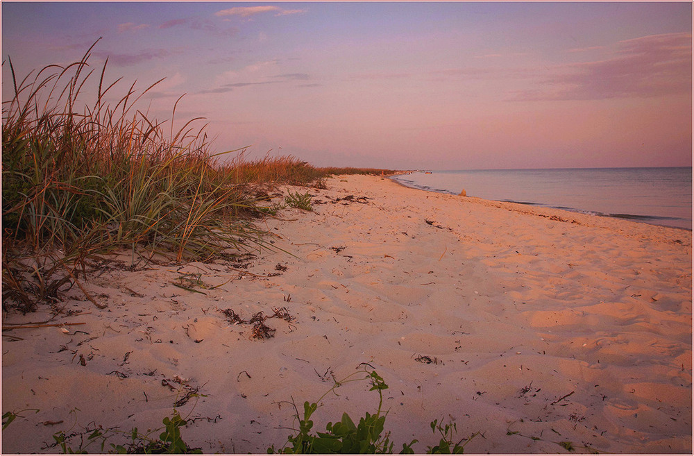 Фотографія Пустельні острови Чорного моря. / Игорь Бабак / photographers.ua