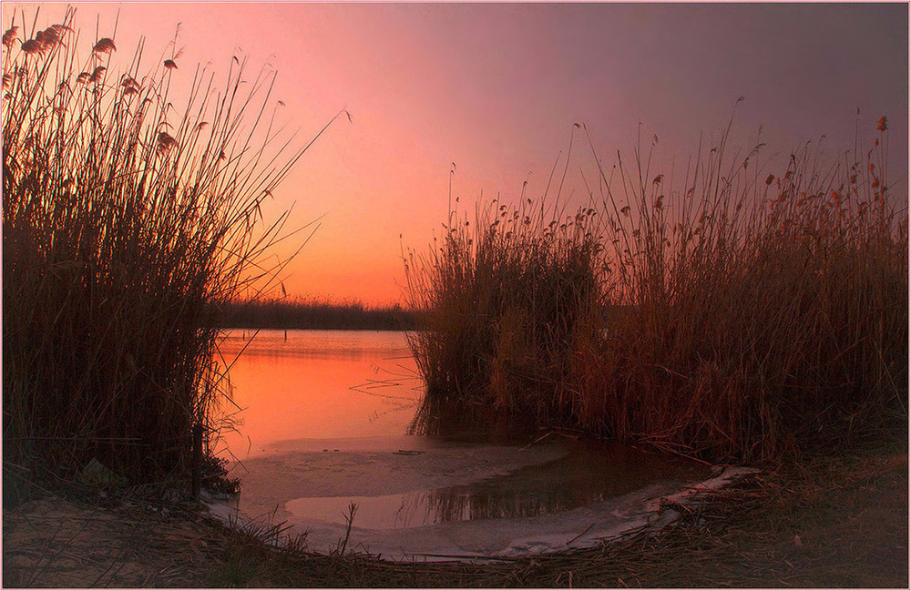 Фотографія Січневі сутінки. / Игорь Бабак / photographers.ua