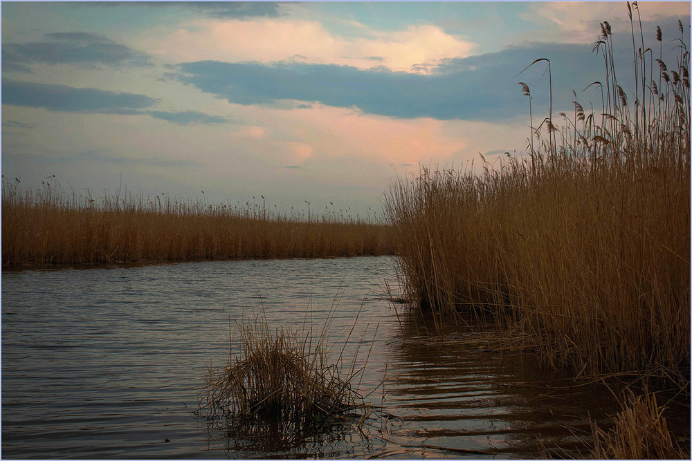 Фотографія Квітневий вечір біля озера. / Игорь Бабак / photographers.ua