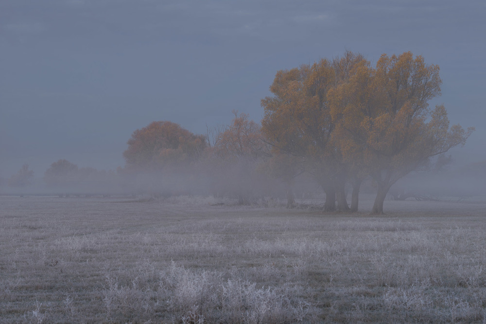 Фотографія Осень в тумане / Олександр Дворичанський / photographers.ua