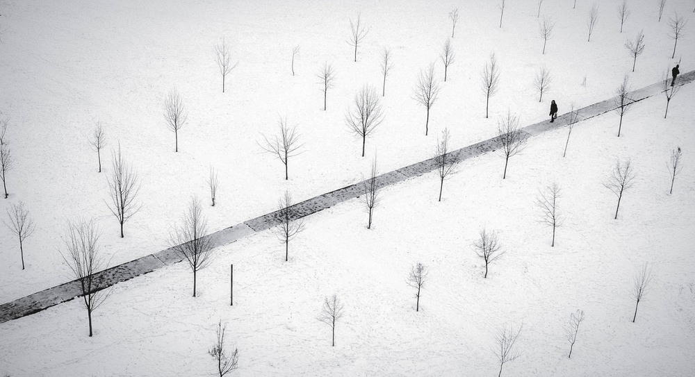 Фотографія winter is coming / Андрей / photographers.ua