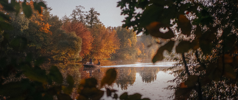 Фотографія in the final autumn / Андрей / photographers.ua