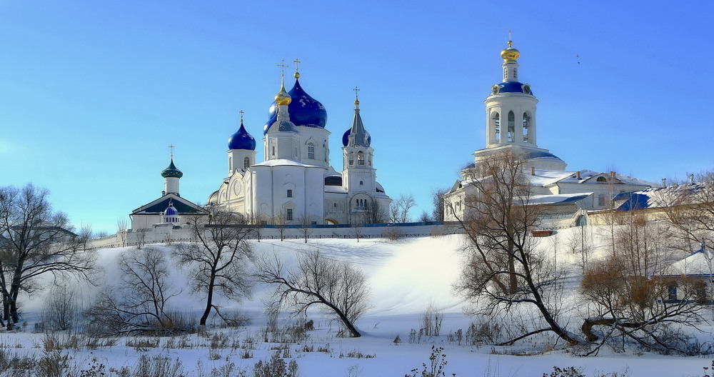 Фотографія прогулки  в яркий зимний день ... / Andrey Bragin / photographers.ua