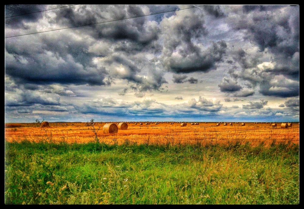 Фотографія Жнива / Руслан Здирко / photographers.ua