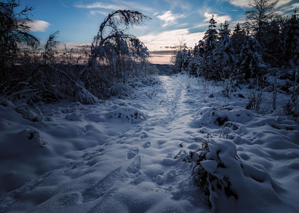 Фотографія Зимовий вечір / Ivan Kocherzhat / photographers.ua