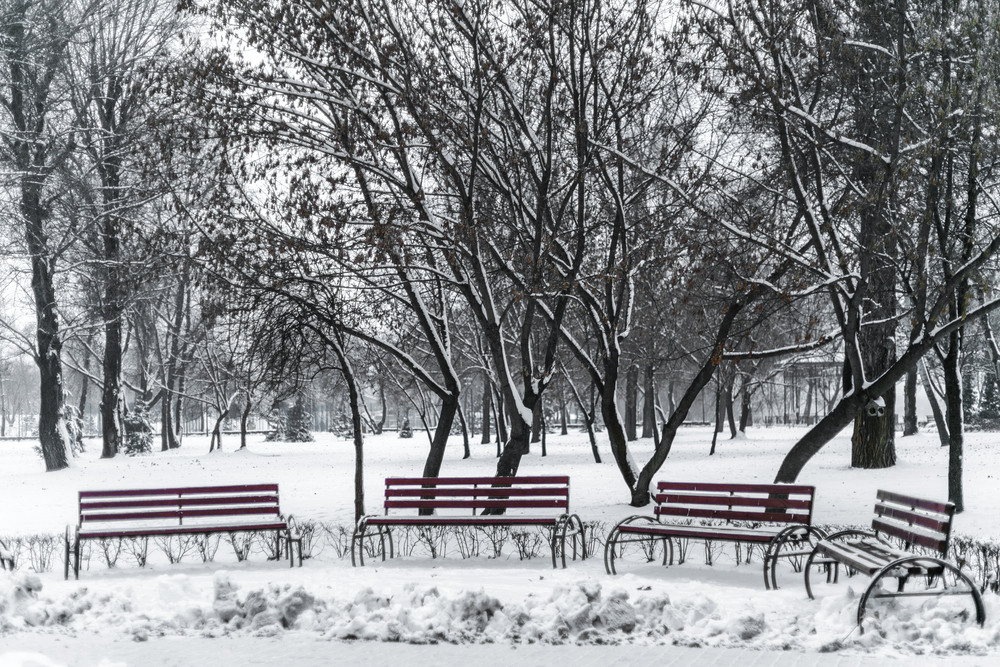 Фотографія зима прийшла.. / Illia Onyshchenko / photographers.ua