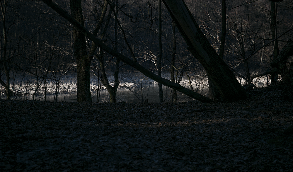 Фотографія куточок Голосіївського лісу / Illia Onyshchenko / photographers.ua