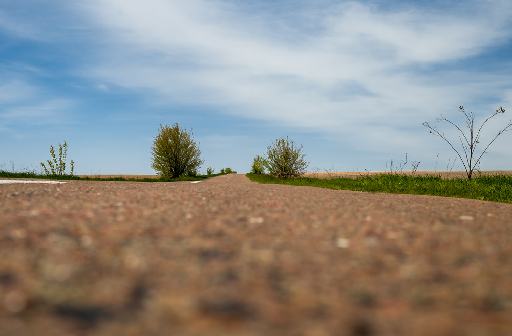 Фотографія * * * / Illia Onyshchenko / photographers.ua