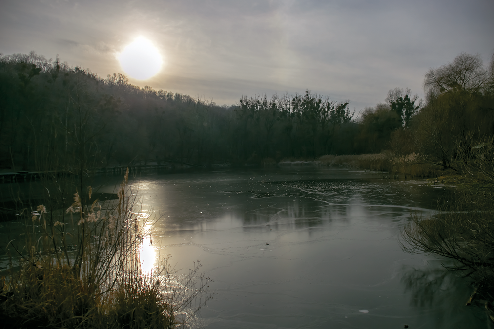 Фотографія тихий день на озері / Illia Onyshchenko / photographers.ua