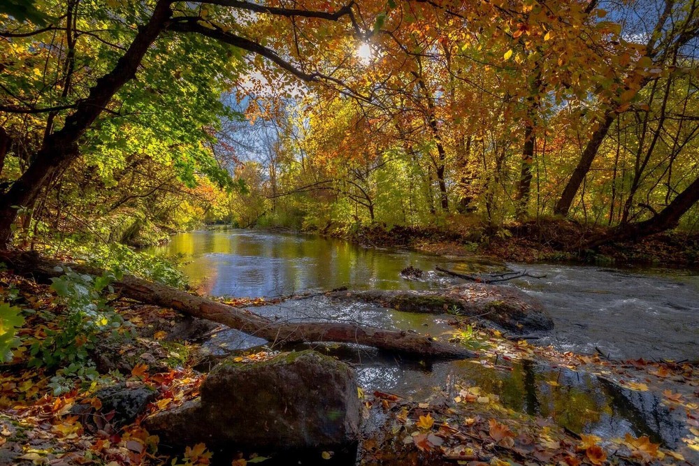 Фотографія Осінній мотив / Лара Гончар / photographers.ua