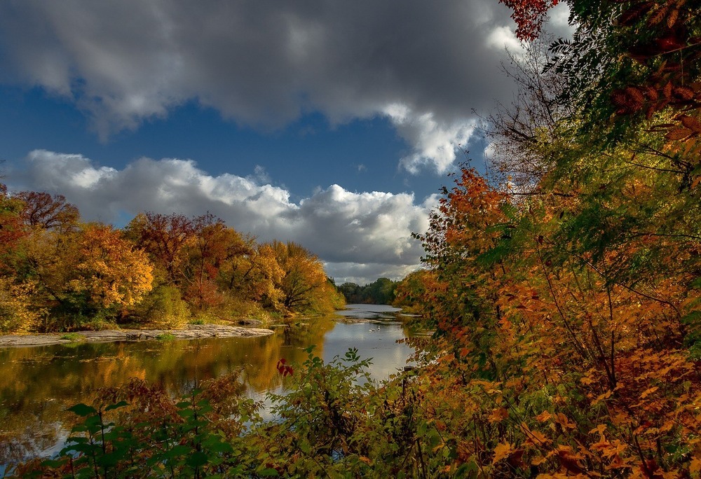 Фотографія Осінній день на річці / Лара Гончар / photographers.ua