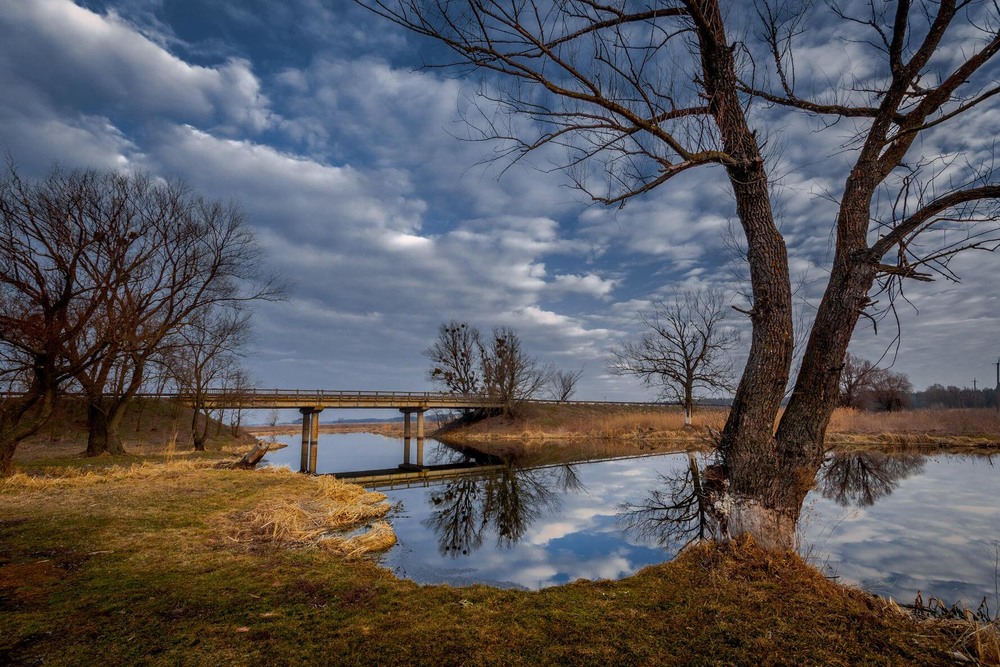 Фотографія Місток через річку / Лара Гончар / photographers.ua