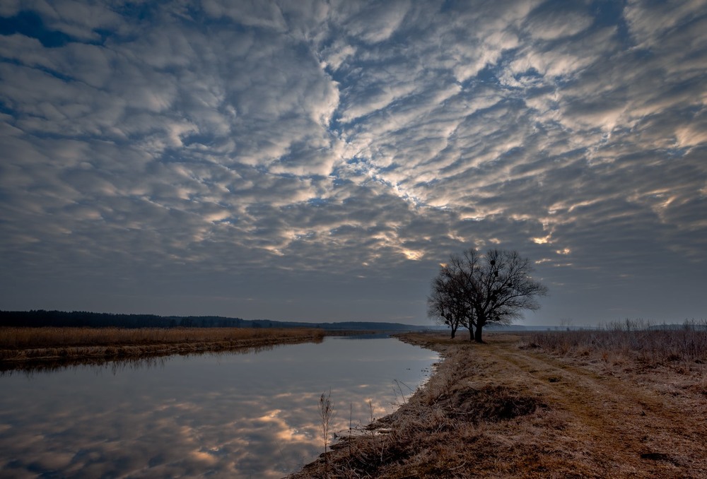 Фотографія Вже ранок малює на небі візерунки... / Лара Гончар / photographers.ua