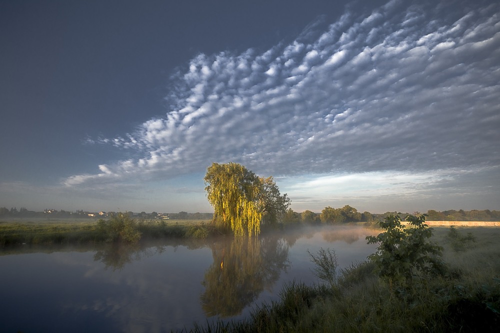 Фотографія Ранок / Лара Гончар / photographers.ua