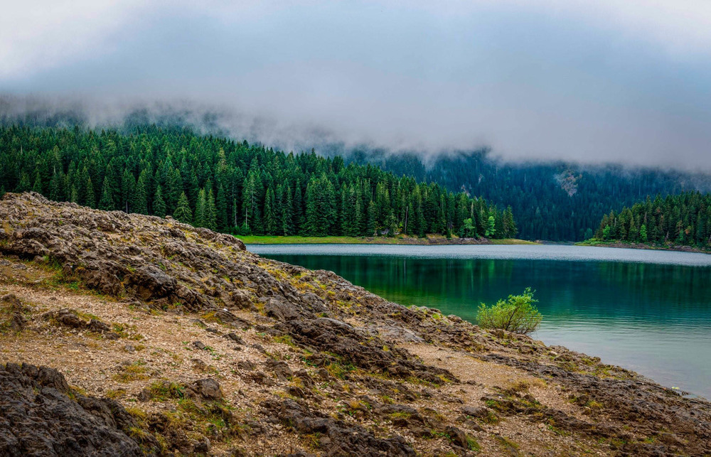 Фотографія Туман на гірському озері / Cullen Color / photographers.ua