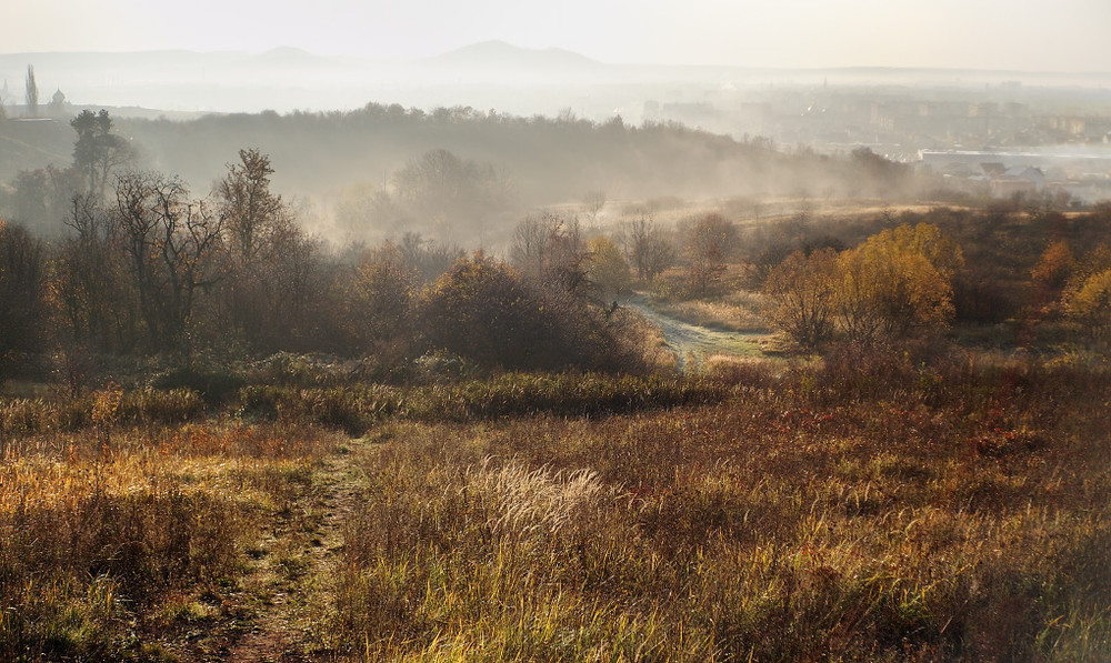 Фотографія Пейзаж / Юрий / photographers.ua