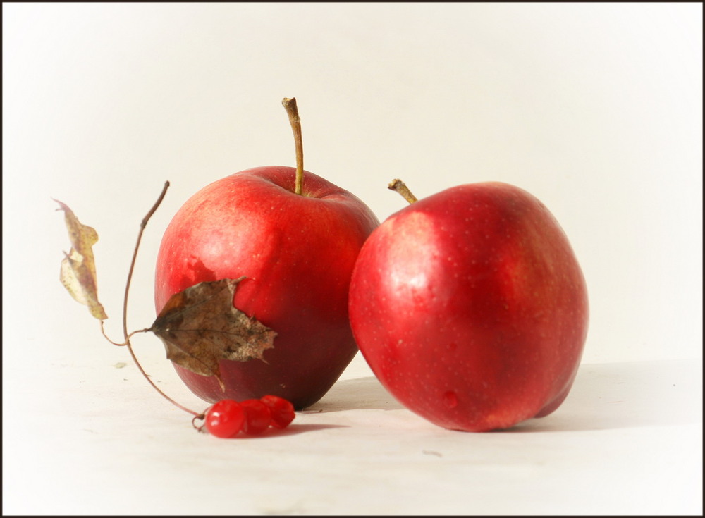 Фотографія Про червоні яблучка / Ludmila / photographers.ua