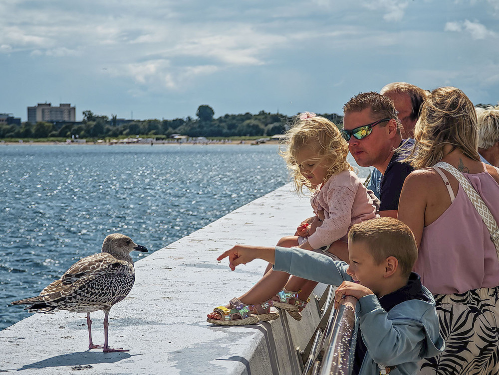 Фотографія Разное / Yevhenii Lukashuk / photographers.ua