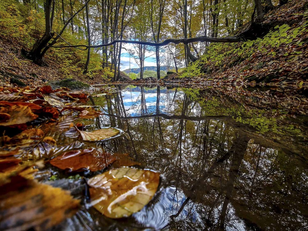 Фотографія Пейзаж / Yevhenii Lukashuk / photographers.ua