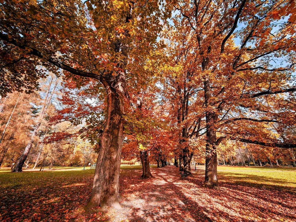 Фотографія Пейзаж / Yevhenii Lukashuk / photographers.ua