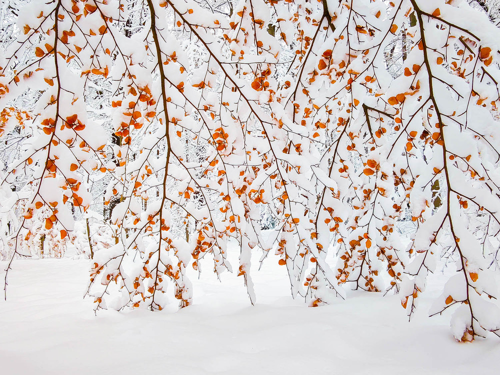 Фотографія Разное / Yevhenii Lukashuk / photographers.ua